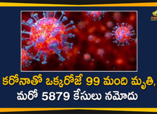 Coronavirus in Tamil Nadu, Tamil Nadu, Tamil Nadu Corona Cases, Tamil Nadu Corona Deaths, Tamil Nadu Corona Positive Cases, Tamil Nadu Coronavirus, Tamil Nadu Coronavirus Cases, Tamil Nadu Coronavirus News, Tamil Nadu Coronavirus Updates, Tamil Nadu Covid-19 Cases,