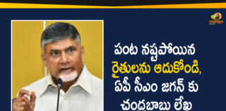 Andhra flood, Andhra Pradesh, Andhra Pradesh flood, AP CM YS Jagan, AP News, Ap Political News, Chandrababu Naidu, Chandrababu Naidu AP CM YS Jagan, Chandrababu Naidu On Flood Situation in the State, Chandrababu Naidu Writes Letter to AP CM YS Jagan