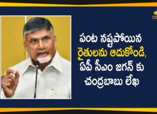 Andhra flood, Andhra Pradesh, Andhra Pradesh flood, AP CM YS Jagan, AP News, Ap Political News, Chandrababu Naidu, Chandrababu Naidu AP CM YS Jagan, Chandrababu Naidu On Flood Situation in the State, Chandrababu Naidu Writes Letter to AP CM YS Jagan