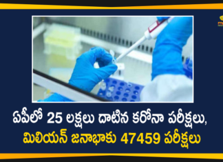 andhra pradesh, AP Corona Positive Cases, AP Coronavirus, AP COVID 19 Cases, AP Total Positive Cases, Coronavirus, Coronavirus Breaking News, coronavirus latest news, Coronavirus live updates, COVID-19, Total Corona Cases In AP
