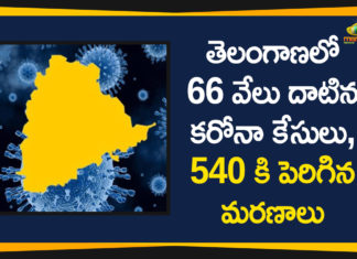 Coronavirus, Coronavirus Breaking News, Coronavirus Latest News, COVID-19, telangana, Telangana Corona Updates, Telangana Coronavirus, Telangana Coronavirus Cases, Telangana Coronavirus Deaths, Telangana Coronavirus New Cases, Telangana Coronavirus News, Telangana New Positive Cases, Total COVID 19 Cases