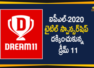 Dream 11 wins title sponsorship rights, Dream11, Dream11 wins IPL 2020 title sponsorship, Dream11 wins IPL 2020 title sponsorship rights, Dream11 wins IPL title rights, Dream11 Wins Rights for Rs 222 Crore, IPL, IPL 2020, IPL-2020 Title Sponsorship