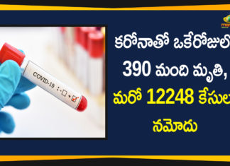 Corona Positive Cases in Maharashtra, Corona Positive Cases In Maharashtra, Maharashtra, Maharashtra , Maharashtra Corona, Maharashtra Corona Cases, Maharashtra Corona Deaths, Maharashtra Corona Positive Cases, Maharashtra Coronavirus, Maharashtra Coronavirus Positive Cases, Maharashtra Coronavirus Updates, Maharashtra COVID 19