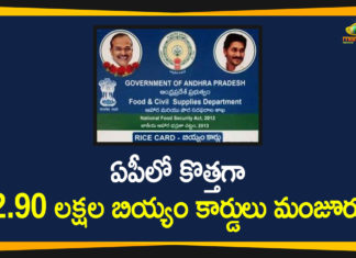 AP Govt, AP Govt Grants More than 2.9 Lakhs New Rice Cards, AP New Ration Cards, AP New Ration Cards Distribution, ap new rice card distribution, ap new rice card status 2020, AP New Rice Cards, AP New Rice Cards status, AP News, Ap Political News