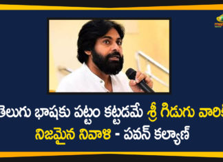 Andhra Pradesh, janasena chief, janasena chief pawan kalyan, national telugu language day, pawan kalyan, Pawan Kalyan about Telugu Language Day and Importance, Pawan Kalyan Latest News, Telugu Language Day, Telugu Language Day 2020
