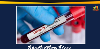 Corona Positive Cases, Coronavirus, Coronavirus Cases In India, Coronavirus Deaths In India, Coronavirus Higlights, Coronavirus In India, Coronavirus state-wise count in India, COVID-19, List of Five States Which have Highest Number of Corona Cases, State wise Corona Positive Cases, State-wise Corona Positive Cases List in India