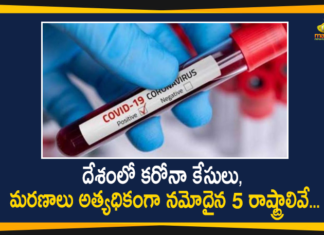 Corona Positive Cases, Coronavirus, Coronavirus Cases In India, Coronavirus Deaths In India, Coronavirus Higlights, Coronavirus In India, Coronavirus state-wise count in India, COVID-19, List of Five States Which have Highest Number of Corona Cases, State wise Corona Positive Cases, State-wise Corona Positive Cases List in India