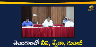 KTR emphasises for promotion of food processing, KTR hardsells food processing sector, KTR Meeting to Plan Food Processing Policies and Guidelines, KTR To Present On Food Processing, Minister KTR, Minister KTR held Meeting with All Ministers, New policy to focus on food processing units