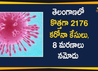 Coronavirus, COVID-19, Covid-19 Updates in Telangana, telangana corona district wise cases, telangana coronavirus cases district wise, telangana coronavirus cases today, telangana coronavirus cases today district wise, telangana coronavirus district wise, telangana coronavirus district wise List, Telangana Coronavirus News, telangana covid cases today bulletin, telangana covid cases today list