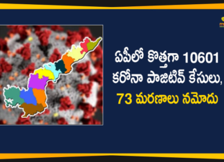 Andhra Pradesh, Andhra Pradesh COVID-19 Daily Bulletin, Andhra Pradesh Department of Health, ap coronavirus cases today, ap coronavirus cases total, ap coronavirus updates district wise, AP COVID 19 Cases, AP Total Positive Cases, COVID-19, COVID-19 Daily Bulletin, Total Corona Cases In AP
