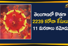 Coronavirus, COVID-19, Covid-19 Updates in Telangana, telangana corona district wise cases, telangana coronavirus cases district wise, telangana coronavirus cases today, telangana coronavirus cases today district wise, telangana coronavirus district wise, telangana coronavirus district wise List, Telangana Coronavirus News, telangana covid cases today bulletin, telangana covid cases today list