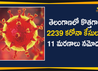 Coronavirus, COVID-19, Covid-19 Updates in Telangana, telangana corona district wise cases, telangana coronavirus cases district wise, telangana coronavirus cases today, telangana coronavirus cases today district wise, telangana coronavirus district wise, telangana coronavirus district wise List, Telangana Coronavirus News, telangana covid cases today bulletin, telangana covid cases today list