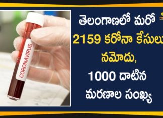 Coronavirus, COVID-19, Covid-19 Updates in Telangana, telangana corona district wise cases, telangana coronavirus cases district wise, telangana coronavirus cases today, telangana coronavirus cases today district wise, telangana coronavirus district wise, telangana coronavirus district wise List, Telangana Coronavirus News, telangana covid cases today bulletin, telangana covid cases today list