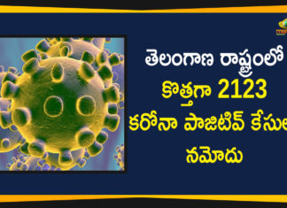 Coronavirus, COVID-19, Covid-19 Updates in Telangana, telangana corona district wise cases, telangana coronavirus cases district wise, telangana coronavirus cases today, telangana coronavirus cases today district wise, telangana coronavirus district wise, telangana coronavirus district wise List, Telangana Coronavirus News, telangana covid cases today bulletin, telangana covid cases today list