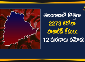 Coronavirus, COVID-19, Covid-19 Updates in Telangana, telangana corona district wise cases, telangana coronavirus cases district wise, telangana coronavirus cases today, telangana coronavirus cases today district wise, telangana coronavirus district wise, telangana coronavirus district wise List, Telangana Coronavirus News, telangana covid cases today bulletin, telangana covid cases today list