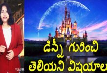 డిస్నీ గురించి తెలియని విషయాలు,Interesting and Unbelievable Facts About Disney,Dr P Lavanya,Yuvaraj Infotainment,Disney,Unknown Facts About Disney,Unknown facts About Disney in Telugu,Interesting Facts About Disney,Interesting Facts About Disney in Telugu,Disney Unknown Facts,Disney Interesting Facts,Latest News,Latest Updates,Unknown Facts,Unknown Facts in Telugu,Interesting Facts,Interesting Facts in telugu,what is disney world