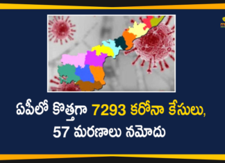 Andhra Pradesh, Andhra Pradesh COVID-19 Daily Bulletin, Andhra Pradesh Department of Health, ap coronavirus cases today, ap coronavirus cases total, ap coronavirus updates district wise, AP COVID 19 Cases, AP Total Positive Cases, COVID-19, COVID-19 Daily Bulletin, Total Corona Cases In AP