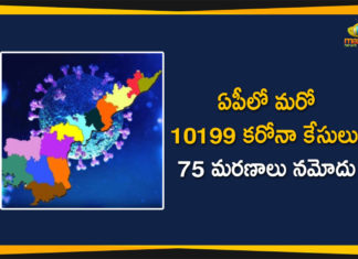 Andhra Pradesh, Andhra Pradesh COVID-19 Daily Bulletin, Andhra Pradesh Department of Health, ap coronavirus cases today, ap coronavirus cases total, ap coronavirus updates district wise, AP COVID 19 Cases, AP Total Positive Cases, COVID-19, COVID-19 Daily Bulletin, Total Corona Cases In AP