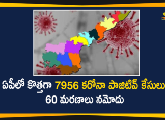 Andhra Pradesh, Andhra Pradesh COVID-19 Daily Bulletin, Andhra Pradesh Department of Health, ap coronavirus cases today, ap coronavirus cases total, ap coronavirus updates district wise, AP COVID 19 Cases, AP Total Positive Cases, COVID-19, COVID-19 Daily Bulletin, Total Corona Cases In AP