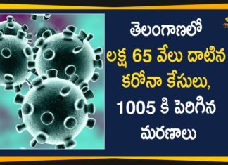 Coronavirus, COVID-19, Covid-19 Updates in Telangana, telangana corona district wise cases, telangana coronavirus cases district wise, telangana coronavirus cases today, telangana coronavirus cases today district wise, telangana coronavirus district wise, telangana coronavirus district wise List, Telangana Coronavirus News, telangana covid cases today bulletin, telangana covid cases today list