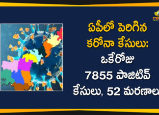 Andhra Pradesh, Andhra Pradesh COVID-19 Daily Bulletin, Andhra Pradesh Department of Health, ap coronavirus cases today, ap coronavirus cases total, ap coronavirus updates district wise, AP COVID 19 Cases, AP Total Positive Cases, COVID-19, COVID-19 Daily Bulletin, Total Corona Cases In AP