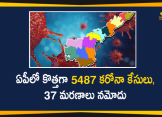 Andhra Pradesh, Andhra Pradesh COVID-19 Daily Bulletin, Andhra Pradesh Department of Health, ap coronavirus cases today, ap coronavirus cases total, ap coronavirus updates district wise, AP COVID 19 Cases, AP Total Positive Cases, COVID-19, COVID-19 Daily Bulletin, Total Corona Cases In AP