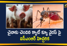 Another Chinese virus, Cat Que Virus, Cat Que Virus from China, Cat Que Virus from China has Potential to Cause Disease in India, cat que virus news, cat que virus updates, China, china new virus, ICMR, ICMR Warns Cat Que Virus from China, ICMR warns of another virus from China, New Virus From China