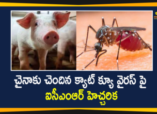 Another Chinese virus, Cat Que Virus, Cat Que Virus from China, Cat Que Virus from China has Potential to Cause Disease in India, cat que virus news, cat que virus updates, China, china new virus, ICMR, ICMR Warns Cat Que Virus from China, ICMR warns of another virus from China, New Virus From China