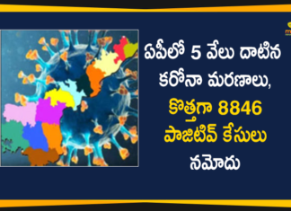 Andhra Pradesh, Andhra Pradesh COVID-19 Daily Bulletin, Andhra Pradesh Department of Health, ap coronavirus cases today, ap coronavirus cases total, ap coronavirus updates district wise, AP COVID 19 Cases, AP Total Positive Cases, COVID-19, COVID-19 Daily Bulletin, Total Corona Cases In AP