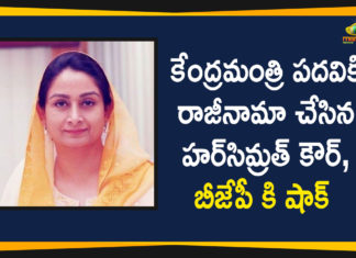 Farmers Bills, Harsimrat Kaur Badal, Harsimrat Kaur Badal Protest Against Farmers Bills, Harsimrat Kaur Badal quits Union Cabinet, Harsimrat Kaur Badal Resigned to Union Minister Post, Harsimrat Kaur Badal resigns as union minister, Protest Against Farmers Bills, Union minister Harsimrat Kaur Badal resigns, Union minister Harsimrat Kaur Badal resigns