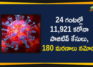 Corona Positive Cases in Maharashtra, Corona Positive Cases In Maharashtra, Maharashtra, Maharashtra , Maharashtra Corona, Maharashtra Corona Cases, Maharashtra Corona Deaths, Maharashtra Corona Positive Cases, Maharashtra Coronavirus, Maharashtra Coronavirus Positive Cases, Maharashtra Coronavirus Updates, Maharashtra COVID 19