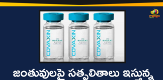 Animal Trials of Covaxin Successful, Bharat Biotech, Bharat Biotech Covaxin, Bharat Biotech Covaxin Vaccine, Bharat Biotech Covid-19 Vaccine, Coronavirus Vaccine COVAXIN, Coronavirus Vaccine Covaxin Clinical Trials, COVAXIN, Covaxin Clinical Trials, Covaxin Vaccine, Hyderabad Company Bharat Biotech, ICMR’s COVID-19 vaccine COVAXIN