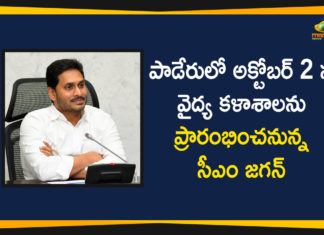 Andhra CM Jagan Mohan Reddy, Andhra Pradesh, Andhra Pradesh News, AP CM YS Jagan, AP News, CM YS Jagan Review Meeting on Nadu-Nedu, CM YS Jagan Review Meeting on Nadu-Nedu for Hospitals, CM YS Jagan reviews over Nadu-Nedu, Construction of Hospitals Under Nadu Nedu, Nadu-Nedu for Hospitals