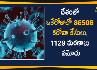 Coronavirus Cases, coronavirus cases india, coronavirus india, coronavirus india live updates, India Corona Updates, India Coronavirus, India Covid-19 Updates, total corona cases in india today, Total Corona Positive Cases in India, total corona positive in india