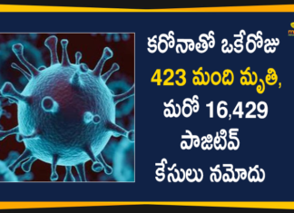 Corona Positive Cases in Maharashtra, Corona Positive Cases In Maharashtra, Maharashtra, Maharashtra , Maharashtra Corona, Maharashtra Corona Cases, Maharashtra Corona Deaths, Maharashtra Corona Positive Cases, Maharashtra Coronavirus, Maharashtra Coronavirus Positive Cases, Maharashtra Coronavirus Updates, Maharashtra COVID 19