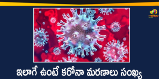 Coronavirus Cases, coronavirus cases india, coronavirus india, coronavirus india live updates, Coronavirus India News LIVE Updates, COVID-19 pandemic in India, India Coronavirus, India Covid-19 Updates, total corona positive in india, WHO warned Corona Deaths, WHO warned Corona Deaths Could Reach 2 Million Published