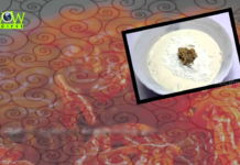 Jalebi (Dish),South Asian Sweets,jalebi,traditional jalebi recipe,no yeast jalebi recipe,instant jalebi,jalebi recipes,indian sweet dish recipes,jangri recipe,indian recipe videos,jhangri recipe,pakistani jalebi recipe,indian sweet jalebi,jalebi calories,jalebi making,how to make jalebi,rajastani jalabi,jalabi sugar syrup,street food jalebi,quick recipe,easy recipe,sweet recipe,diwali recipe