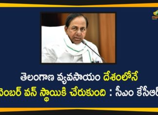 CM KCR, CM KCR High Level Meeting with Officials, Districts and State Level Agriculture Departments, Districts and State Level Agriculture Departments Meeting, KCR High Level Meeting, KCR Meeting With Agriculture Department, Telangana Agriculture Department, Telangana Agriculture Department News, Telangana CM KCR