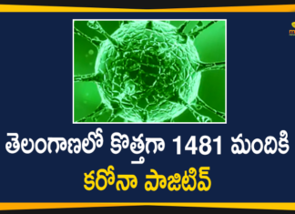Coronavirus, COVID-19, Covid-19 Updates in Telangana, telangana corona district wise cases, telangana coronavirus cases district wise, telangana coronavirus cases today, telangana coronavirus cases today district wise, telangana coronavirus district wise, telangana coronavirus district wise List, Telangana Coronavirus News, telangana covid cases today bulletin, telangana covid cases today list