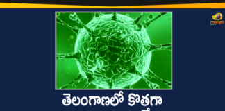 Coronavirus, COVID-19, Covid-19 Updates in Telangana, telangana corona district wise cases, telangana coronavirus cases district wise, telangana coronavirus cases today, telangana coronavirus cases today district wise, telangana coronavirus district wise, telangana coronavirus district wise List, Telangana Coronavirus News, telangana covid cases today bulletin, telangana covid cases today list,Telangana Records 1811 New Covid-19 Cases and 9 Deaths on October 9
