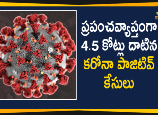 Corona Positive Cases Worldwide, Coronavirus Cases, coronavirus cases india, Coronavirus cases Worldwide, coronavirus deaths worldwide, coronavirus india, coronavirus india live updates, Coronavirus Update, Worldwide Corona Positive Cases, Worldwide Corona Positive Cases Crosses 4.5 Crore Mark, Worldwide Coronavirus cases List