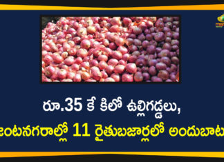 Agriculture Minister Niranjan Reddy Says Onions Will Sell on Subsidy in Rythu Bazaars