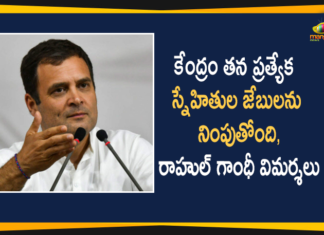 Congress Leader, Congress Leader Rahul Gandhi, national news, national political updates, PM Modi, rahul gandhi, Rahul Gandhi attacks Centre, Rahul Gandhi attacks Modi government, Rahul Gandhi Comments, Rahul Gandhi Comments On Modi, Rahul Gandhi Comments On Modi Government, Rahul Gandhi says Central Govt Busy in Filling Pockets