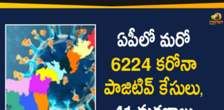 Andhra Pradesh, Andhra Pradesh COVID-19 Daily Bulletin, Andhra Pradesh Department of Health, ap coronavirus cases today, ap coronavirus cases total, ap coronavirus updates district wise, AP COVID 19 Cases, AP Total Positive Cases, COVID-19, COVID-19 Daily Bulletin, Total Corona Cases In AP