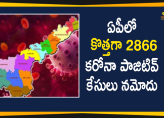 Andhra Pradesh, Andhra Pradesh COVID-19 Daily Bulletin, Andhra Pradesh Department of Health, ap coronavirus cases today, ap coronavirus cases total, ap coronavirus updates district wise, AP COVID 19 Cases, AP Total Positive Cases, COVID-19, COVID-19 Daily Bulletin, Total Corona Cases In AP