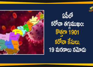 Andhra Pradesh, Andhra Pradesh COVID-19 Daily Bulletin, Andhra Pradesh Department of Health, ap coronavirus cases today, ap coronavirus cases total, ap coronavirus updates district wise, AP COVID 19 Cases, AP Total Positive Cases, COVID-19, COVID-19 Daily Bulletin, Total Corona Cases In AP