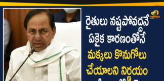 CM KCR, CM KCR Announces Govt will Purchase Maize Crop, CM KCR Review on Purchase of Rainy Season Crops, Maize Crop Rs 1850 per Quintal, Purchase of Rainy Season Crops In Telangana, Rainy Season Crops, Telangana Agricultural News, telangana agriculture budget, Telangana Agriculture News, Telangana CM KCR