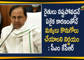 CM KCR, CM KCR Announces Govt will Purchase Maize Crop, CM KCR Review on Purchase of Rainy Season Crops, Maize Crop Rs 1850 per Quintal, Purchase of Rainy Season Crops In Telangana, Rainy Season Crops, Telangana Agricultural News, telangana agriculture budget, Telangana Agriculture News, Telangana CM KCR