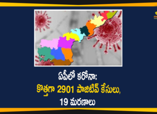 Andhra Pradesh, Andhra Pradesh COVID-19 Daily Bulletin, Andhra Pradesh Department of Health, ap coronavirus cases today, ap coronavirus cases total, ap coronavirus updates district wise, AP COVID 19 Cases, AP Total Positive Cases, COVID-19, COVID-19 Daily Bulletin, Total Corona Cases In AP