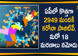 ఏపీలో కరోనా: మరో 2949 పాజిటివ్ కేసులు, 18 మరణాలు Andhra Pradesh, Andhra Pradesh COVID-19 Daily Bulletin, Andhra Pradesh Department of Health, ap coronavirus cases today, ap coronavirus cases total, ap coronavirus updates district wise, AP COVID 19 Cases, AP Total Positive Cases, COVID-19, COVID-19 Daily Bulletin, Total Corona Cases In AP